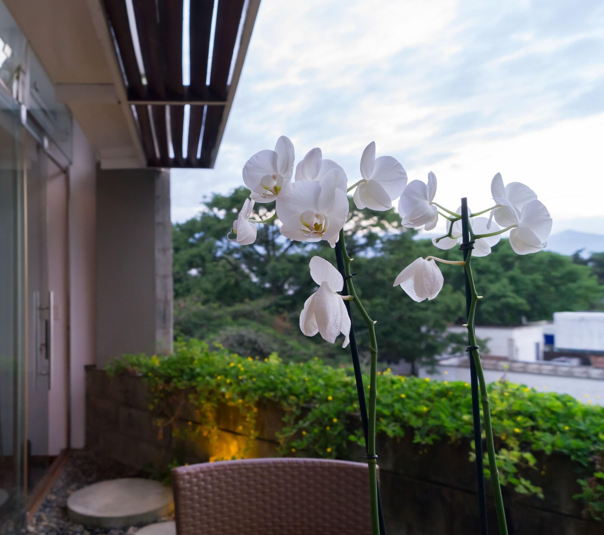 Acquasanta Lofts Hotel Cali Kültér fotó